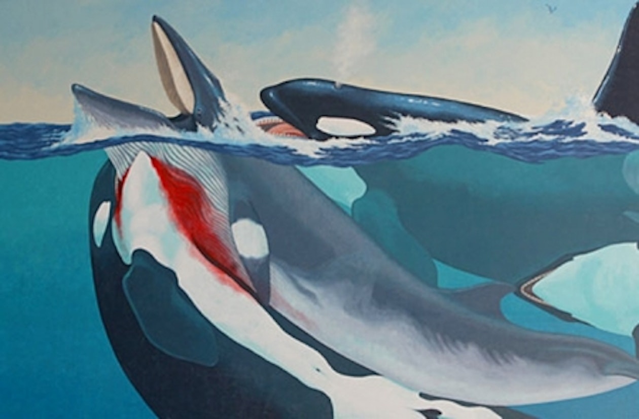 killer-whales-2.jpg