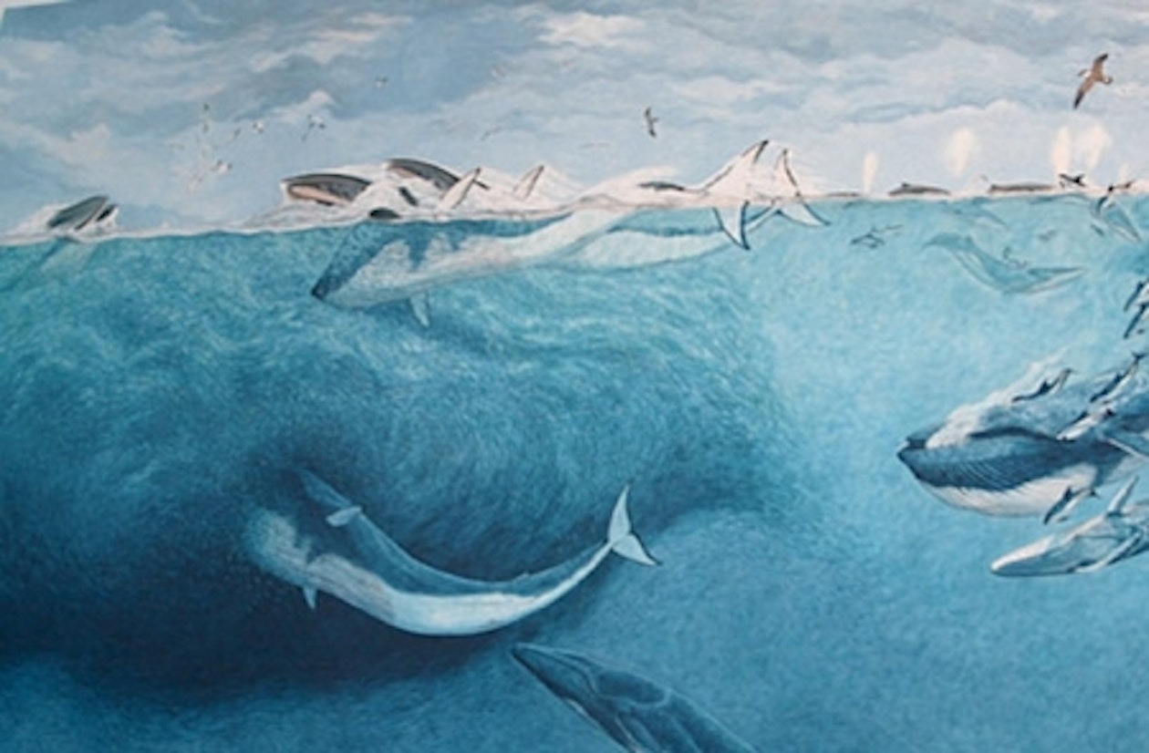 more-whale-art-2.jpg