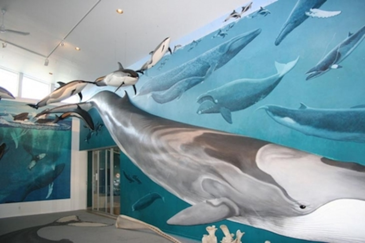 whale-models-in-museum.jpg